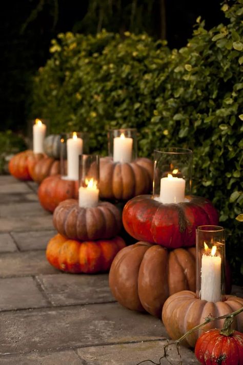 Pumpkin Patch Wedding Ideas, Pumpkin Arrangements, Porch Pumpkins, Pumpkin Topiary, Pumpkin Display, Harvest Party, Fall Decor Inspiration, Pumpkin Farm, Stacked Pumpkins