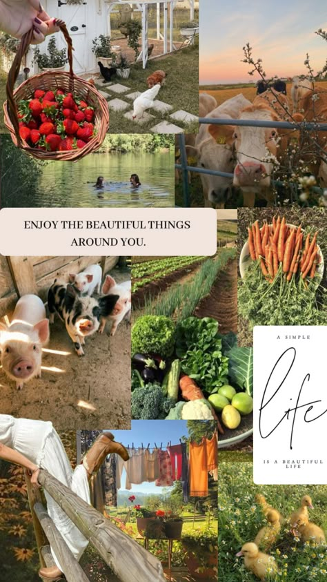 #simpleaesthetic #cottageaesthetic #farmaesthetic #farmhouse #vibes #collageaesthetic Farming Lifestyle, Cottagecore Lifestyle, Fae Aesthetic, Cottagecore Living, Farming Life, Farmhouse Vibes, Farmer Girl, Cottage Aesthetic, Farm Lifestyle