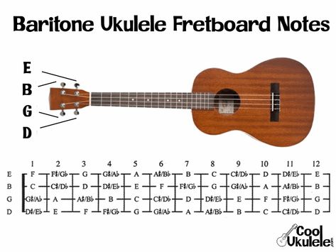 What are the Notes on a Ukulele? | CoolUkulele.com Baritone Ukulele Songs, Fretboard Notes, Akordy Na Ukulele, Pineapple Ukulele, Ukulele Sizes, Topics To Write About, Ukulele Tuning, Easy Ukulele Songs, Ukulele Chords Chart