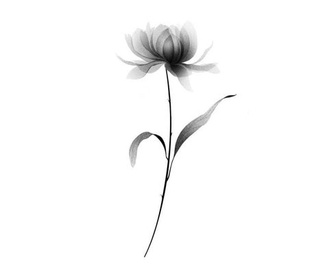 Adoption Tattoo, Xray Flower, Dandelion Tattoo Design, Cover Up Tattoos For Women, Flor Tattoo, Pencil Drawings Of Flowers, Flower Tattoo Back, Mommy Tattoos, Poppies Tattoo