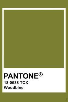 Pantone Olive Green, Olive Colour Palette, Olive Colour, Pantone Swatches, Color Knowledge, Lime Punch, Brown Granite, Blush Beauty, Good Color Combinations