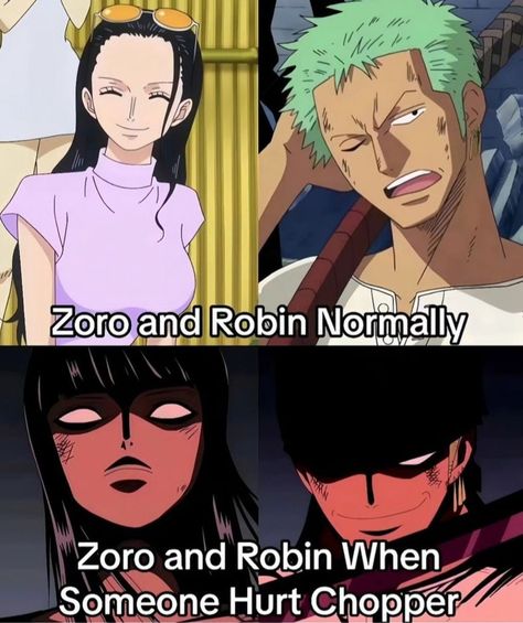 One Piece Funny Moments, Zoro And Robin, One Piece Series, One Piece Cartoon, One Piece Meme, One Piece Crew, Anime Funny Moments, One Piece Ship, One Piece Funny