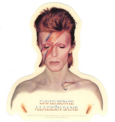 David Bowie Vinyl Sticker Alladin Sane Logo David Bowie Stickers, Aladdin Sane, Print Collage, David Bowie, Funky Art, Vinyl Sticker, Collage, Male Sketch, Vinyl