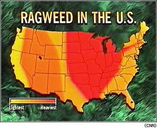 Ragweed hotspots Ragweed Allergy Remedies, Ragweed Allergy, Chest Congestion Relief, Home Remedies For Allergies, Allergic Rhinitis, Allergy Remedies, Chest Congestion, Watery Eyes, Allergy Symptoms