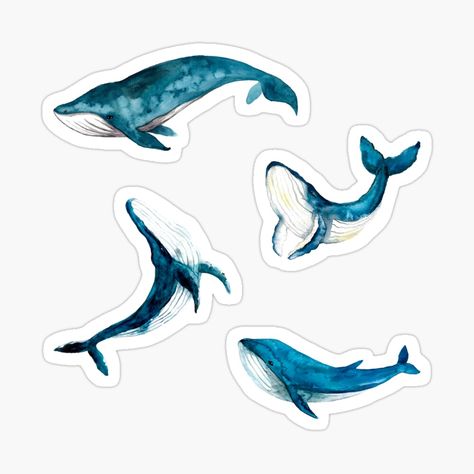 Get my art printed on awesome products. Support me at Redbubble #RBandME: https://www.redbubble.com/i/sticker/Blue-Watercolor-Whales-Ocean-Animals-Pack-by-DaisyPaints/100401588.EJUG5?asc=u Bts Whale, Watercolor Whales, Whale Sticker, Dark Beach, Save The Whales, Watercolor Whale, Whale Print, Scrapbook Stickers Printable, Selfie Ideas Instagram