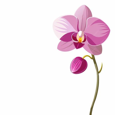 A painting of a orchid with the word orchid on it | Premium AI-generated vector Orchid Flower Aesthetic, Orchid Vector, Orchid Aesthetic, Orchid Illustration, Orchids Painting, Free Business Card Mockup, Business Card Maker, Flyer Maker, Poster Invitation