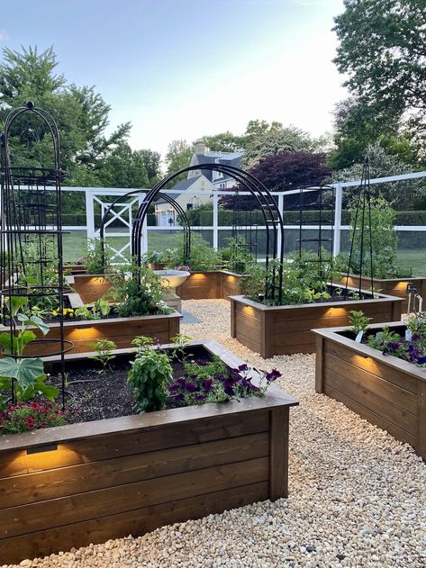 Raised Bed Garden, Grow Food, Backyard Pools, Veg Garden, Landscape Designs, Home Vegetable Garden, Backyard Garden Design, Vegetable Garden Design, Plant Cuttings