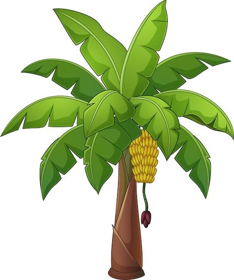 Tigatelu | Freepik Banana Tree Drawing, Banana Background, Banana Palm Tree, Banana Painting, Color Worksheets For Preschool, Black And White Photography Portraits, Banana Trees, Kalamkari Designs, Banana Palm