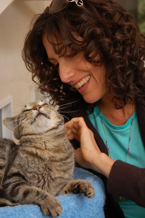 Lisa Cuddy, Girlfriends Guide To Divorce, Celebrities With Cats, Famous Cats, Lisa Edelstein, International Cat Day, Hugh Laurie, House Md, Dr House