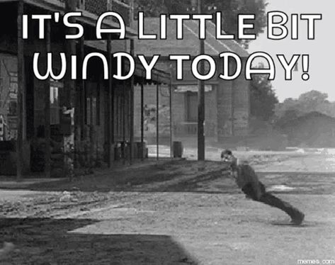 Resisting Wind GIF - Resisting Wind Windy - Discover & Share GIFs Puppies Gif, Tenor Gif, Miniature Schnauzer Puppies, Social Media Work, Windy Weather, Schnauzer Puppy, Crazy Quotes, Weather Day, Marketing 101