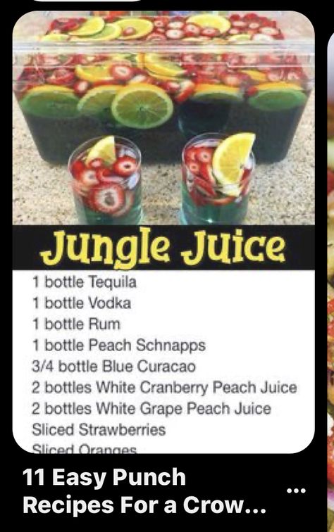 Hunch Punch Recipe, Punch Nonalcoholic, Best Jungle Juice Recipe, Punch Recipes For A Crowd, Hunch Punch, Juice Punch, Simple Drinks, Jungle Juice Recipe, Easy Party Drinks