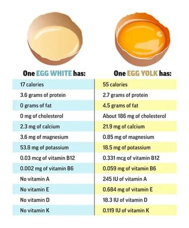 Eggs and Cholesterol Egg Alternatives, Cholesterol Lowering Foods, Lower Your Cholesterol, Hdl Cholesterol, Ldl Cholesterol, Live Healthy, High Cholesterol, Lower Cholesterol, What Happened To You