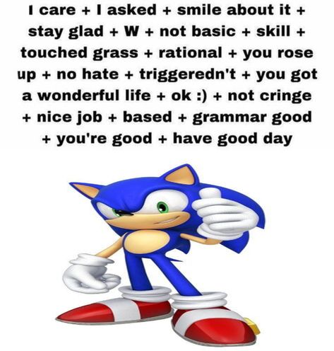 Meme Sonic, Knuckles The Echidna, Funny Aesthetic, The Cardigans, Born To Be Wild, Sonic Funny, Office Manager, His Office, Sonic Franchise