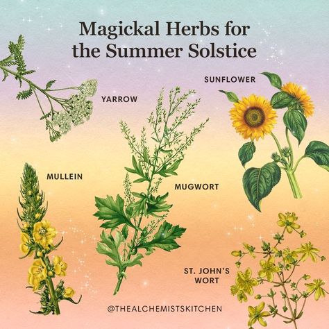 Summer Solstice Ritual, Pagan Calendar, Litha Summer Solstice, Longest Day Of The Year, Magickal Herbs, The Longest Day, Witch Spells, Witch Herbs, Green Witchcraft