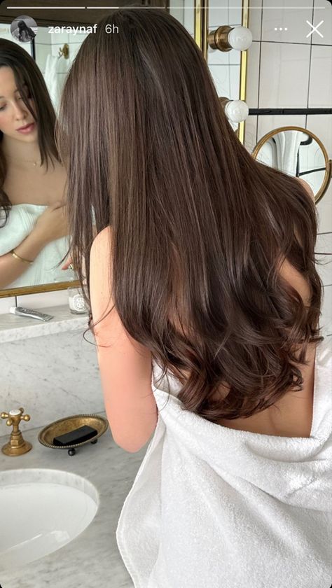 Brown Hair Inspo, Layered Haircuts For Medium Hair, Hair Braid Videos, Haircuts For Medium Hair, Brown Blonde Hair, Hair Stylist Life, Hair Collection, Beautiful Long Hair, Hair Inspo Color