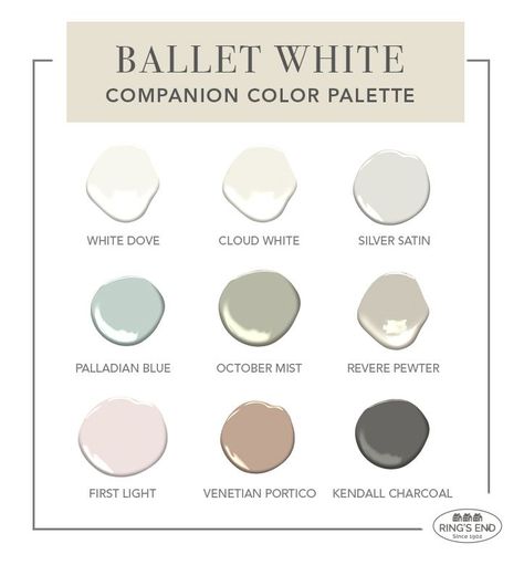 Looking for the ideal wall paint to complement Benjamin Moore's Ballet White OC-9? Look no further! Dive into our collection of awe-inspiring paint colors that will transform your home into a sanctuary of style. 🎨✨ (White Dove, Cloud White, Silver Satin, Palladian Blue, October Mist, Revere Pewter, First Light, Venetian Portico, Kendall Charcoal) #benjaminmoore #paintinspo #interiorstyling Ballet White Color Scheme, Ballet White Palette, Benjamin Moore Balboa Mist Color Palette, Ballet White With White Dove Trim, Benjamin Moore Fog Mist Paint, Ballet White Color Palette, Ballet White Coordinating Colors, Marry Me Benjamin Moore, Ballet White Benjamin Moore Walls