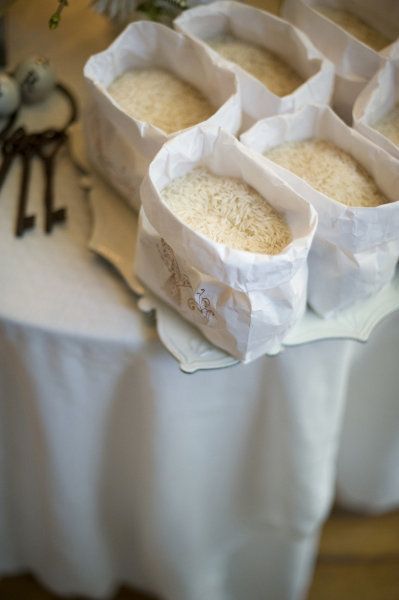 Wedding Rice, Toronto Winter, Winter Wedding Photos, Wedding Photo Shoot, Emerald Wedding, Winter Photo, Navy Blue Wedding, Inspiration Board, Wedding Photoshoot