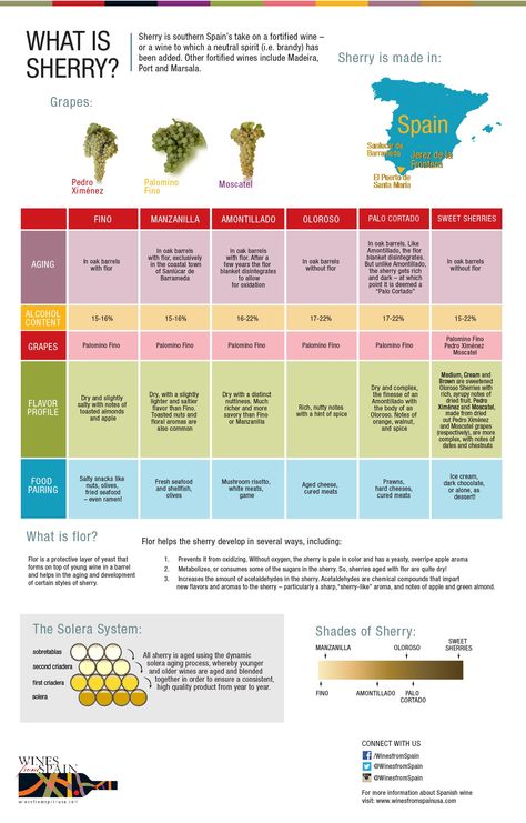 Wine Cheat Sheet, Wine Chart, Sherry Wine, Wine Map, Wine Knowledge, Wine Bottle Carrier, Fortified Wine, Wine Education, Spanish Wine