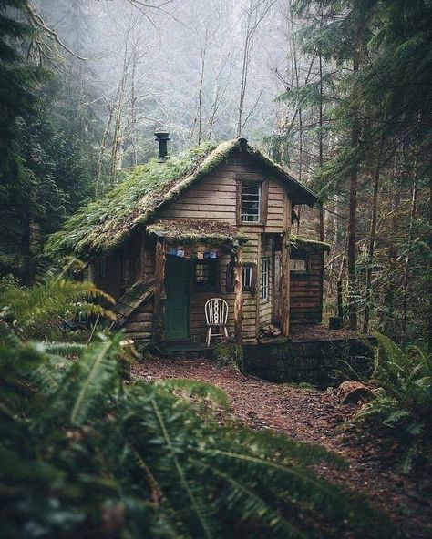 Hansel And Gretel House, Ecological House, Little Cabin In The Woods, Forest Cabin, Cottage In The Woods, Little Cabin, Small Cabin, Cabin Style, Cabin In The Woods