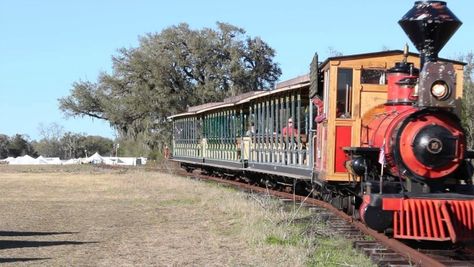 Great America Railway at Kirby Family Farm, Williston, Florida Williston Florida, Great America, Scenic Road Trip, Scenic Roads, Virginia Homes, Back Road, Horse Farms, Gulf Of Mexico, Central Florida