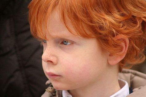 Red Hair Gene, Family Tree Genealogy, Northern Spain, Irish Eyes, Irish History, Genealogy Research, Family Genealogy, Ireland Scotland, Red Heads