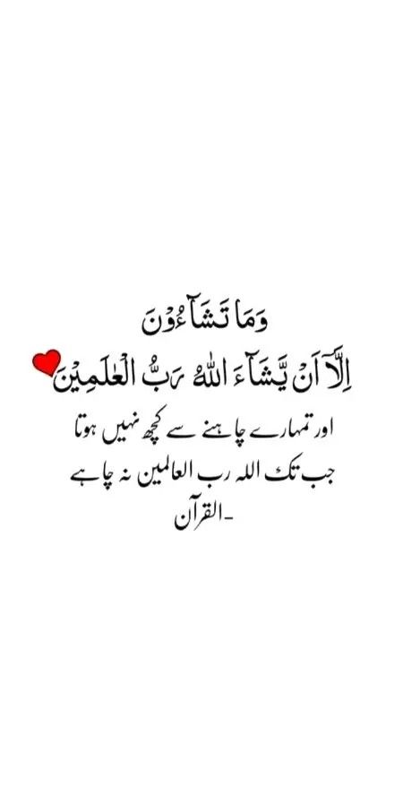 Quran Pak, Islamic Quotes On Marriage, Best Quran Quotes, Best Islamic Quotes, Hadith Quotes, Ali Quotes, Urdu Quotes With Images, Beautiful Quran Quotes, Islamic Phrases