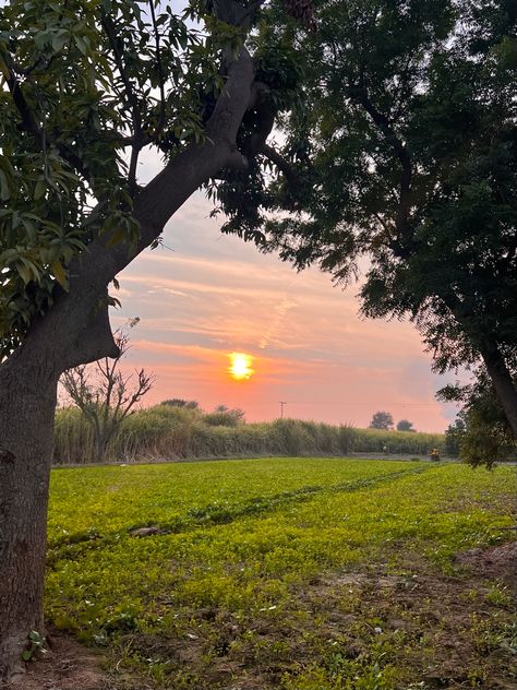 Village Aesthetic Indian, Indian Village Aesthetic, Summer Aesthetic Indian, Pakistan Village Aesthetic, Pakistan Asthetic Pics, Pakistan Asethic, Northern Pakistan Aesthetic, Pakistan Countryside, Village Pics In Pakistan