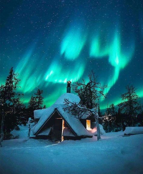 Northern Lights (aurora Borealis), Aurora Borealis Northern Lights, Winter Szenen, See The Northern Lights, A Cabin, Winter Scenery, The Aurora, Travel Sites, Andalusia