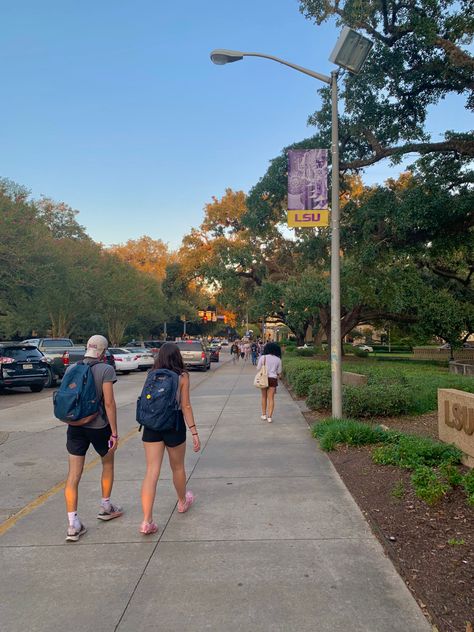 Lsu Campus, Lsu Aesthetic, Lsu College, Campus Aesthetic, College Goals, Fall Semester, College Ideas, Louisiana State University, Louisiana State