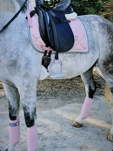 Pink Horse Riding Outfit, Pink Equestrian Aesthetic, Pink Horse Aesthetic, Pink Horse Tack, Horse Tack English, English Tack Sets, Horse Riding Gear, English Horse Tack, Horsey Life