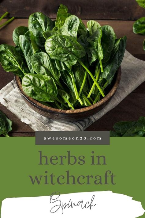 Spinach is one of the few green vegetables I actually like, and it's this month's feature for the Herbs in Witchcraft series. We all know this vibrant, leafy green can make us stronger, but what other benefits and energies can it bring to our lives? #spinach #witchcraft #kitchenwitchcraft Herbs In Witchcraft, Kitchen Magick, Apothecary Herbs, Witch Recipes, Kitchen Witch Recipes, Green Kale, Home Apothecary, Green Rice, Green Witchcraft