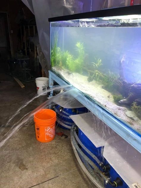 Aquarium fish tank leak Outdoor Aquarium Ideas, Diy Fish Aquarium, Diy Aquarium Ideas, Homemade Aquarium Decorations, Aquarium Decor Ideas, Home Aquarium Ideas, Fish Aquarium Ideas, Aquarium Furniture, Homemade Aquarium