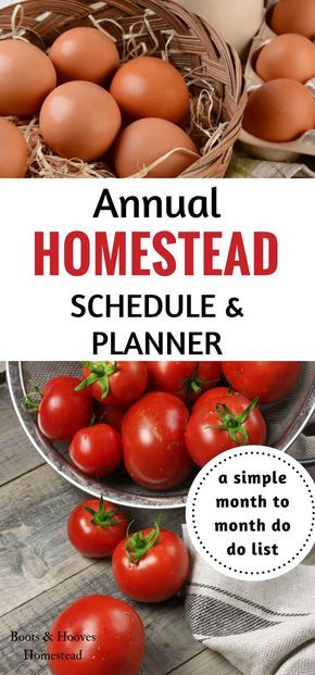 Annual Homestead Schedule & Planner. A simple month to month to do list. Self Sufficient On 1/4 Acre, Homestead Schedule, Month To Do List, Homestead Planning, Homesteading Life, Homestead Life, Homestead Ideas, Homesteading Diy, Homestead Farm