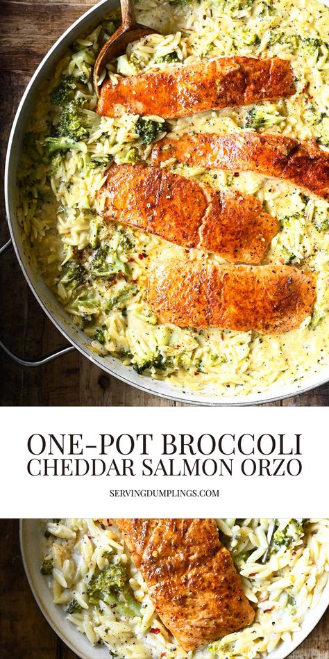 Healthy Orzo, Recipes With Broccoli, Salmon Orzo, Seafood Ideas, Recipe Salmon, Orzo Recipes, Dumplings Recipe, Dinner Recipes Healthy, Salmon Dishes