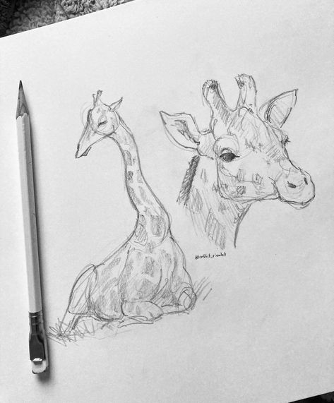 Giraffe Drawing Sketches, Giraffe Sketch, Animals To Draw, Giraffe Drawing, Rabbit Drawing, Animal Drawings Sketches, Arte Inspo, T Art, Mini Drawings