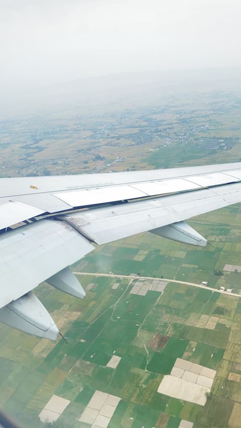 Airplane View, Cool Girl, Quick Saves