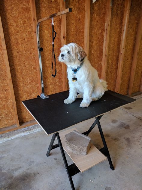 DIY Dog Grooming Table: How to Build Your Own (4 Projects) Diy Dog Grooming Table, Diy Dog Wash, Dog Grooming Table, Dog Grooming Diy, Grooming Table, Dog Grooming Tools, Dogs Diy Projects, Expensive Dogs, Dog Washing Station