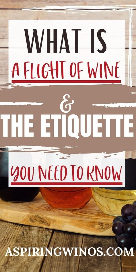 Wine Flights 101 | Wine Information | Wine Flights | Red or White Wine #WineFlights101 #WineInformation #WineFlights #RedOrWhiteWine Wine Flights Ideas, Wine Cocktail Recipes, Blog Success, Autumn Wine, Wine Education, Wine Travel, Wine Cocktails, Craft Brewing, Blogging Advice