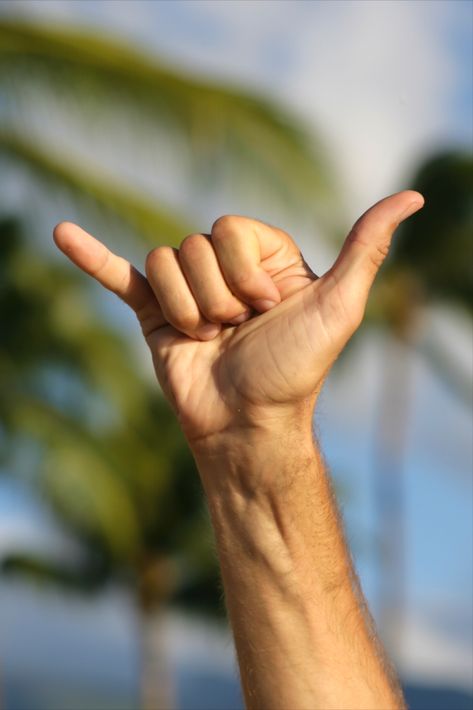 Originating in Hawaiʻi, the shaka sign, also known as the ‘hang loose’ gesture, has evolved into many variations. Shaka Sign, Hawaii Magazine, Hawaiian Music, Copy Cats, Aloha Vibes, Ceramics Inspiration, Hawaiian Culture, Hawaii Life, Hang Loose