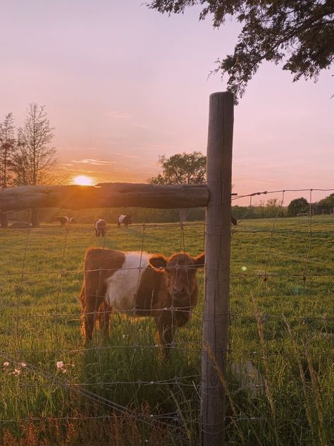 Future Farms, Farm Lifestyle, Living Off The Land, Western Aesthetic, Ranch Life, Old Farm, Country Farm, Take Me Home, City Aesthetic