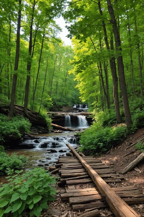 &#8220;Discover Farmington, Missouri: Where Adventure Meets Heritage 🌲&#8221; Blueberry Picking, Disc Golf Courses, Ozark Mountains, Recreational Activities, Scenic Routes, New Hampshire, Wyoming, Missouri, Outdoors Adventure