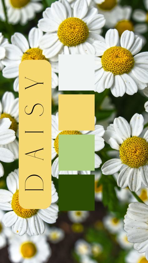 Daisy Color Palette by Felicity & Lilac Events Daisy Color Palette, Green And Yellow Aesthetic, Daisy Wedding Theme, Daisy Wedding, Business Colors, Flower Business, Green Colour Palette, Mood Board Inspiration, Yellow Aesthetic