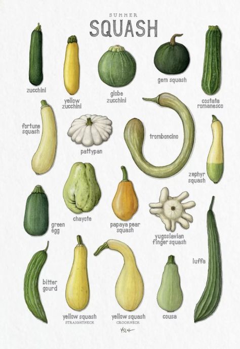 Heirloom Vegetables, Plants