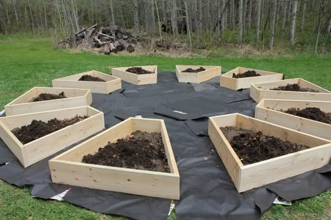 triangular raised flower beds - Google Search Yard Plants, Elevated Gardening, Round Garden, Backyard Layout, Garden Boxes Raised, Landscaping Backyard, Backyard Garden Layout, Landscape Flowers, Garden Layout Vegetable