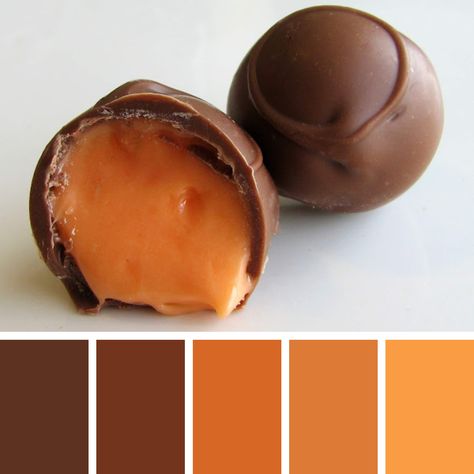 Chocolate Color Palette, Milk Chocolate Truffles, Palette Challenge, Orange Color Palettes, Color Palette Challenge, Food Inspired, Colour Combos, Chocolate Color, Caramel Color