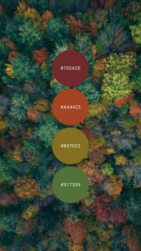 Deep autumn shades of garnet, brass, and pumpkin are bold but beautiful. Try it in the study, library, dining room, or cabin / cottage. #colourpalette #colorpalette #colour #color #palette #red #orange #green #yellowgreen #autumn #fall Fall Foliage Color Palette, Green Autumn Color Palette, Bold Autumn Color Palette, Olive Green And Teal Color Scheme, Red Orange Yellow Green Color Palette, Orange And Red Palette, Bedroom Inspirations Master Color Schemes Orange, Fall Autumn Color Palette, Fall Leaves Color Palette