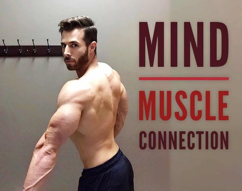 Mind Muscle Connection: 5 Tips to Train Your Brain for Gains     Top athletes use the power of their mind to achieve peak performance. Learn how to build your mind muscle connection and train your brain for gains.     Have you hit a plateau in your training? Are you spending several hours a week in Mind Muscle Connection Tips, Fitness Knowledge, Body Type Quiz, Bicep Exercises, Reverse Curls, Barbell Deadlift, Bicep Muscle, Preacher Curls, Bodybuilding Nutrition