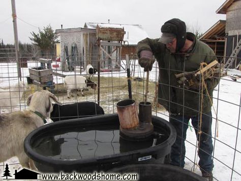 Build a wood-fired stock tank heater by Jackie Clay-Atkinson.  Tired of breaking the ice for your livestock each morning? Build this heater and save yourself the trouble! #JackieClay Stock Tank Heater, Large Stock Tank, Cattle Pens, Goat Shelter, Horse Water, Fire Stock, Natural Farming, Water Trough, Mini Cows