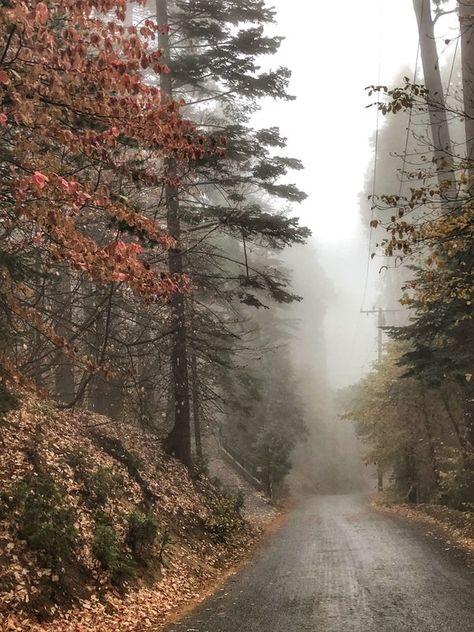 Lake Arrowhead Aesthetic, Lake Arrowhead California, Aesthetic Warning, California Mountains, Lake Arrowhead, 2024 Vision, Family Adventure, Nature Aesthetic, Share Photos