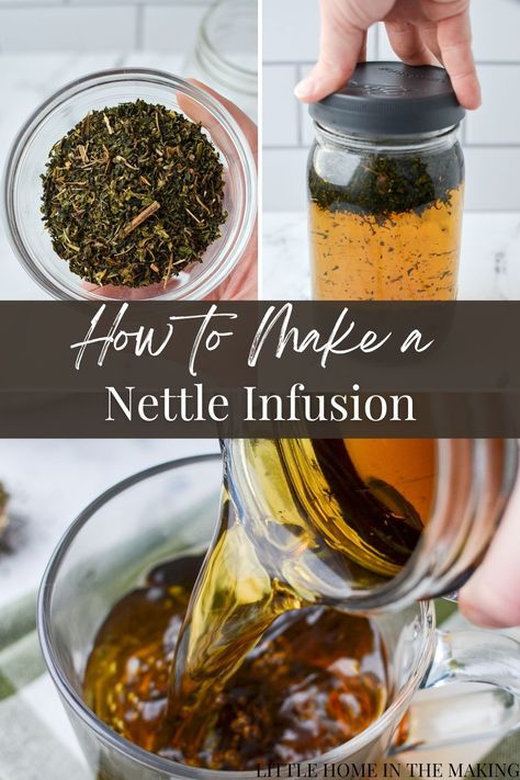 Unearth the hidden power within nettles, a plant so often overlooked, with our nurturing nettle infusions. This herbal tea has a rich history of use, and each cup brims over with the wisdom of the ages. From soothing sore throats to aiding digestion, nettle infusions are an all-in-one elixir. Stinging Nettle Tea Benefits, Nettles Benefits, Nettle Leaf Tea Benefits, Nettle Tea Recipe, Nettle Infusion, Nettle Tea Benefits, Nettle Recipes, Nettle Leaf Tea, Nettle Tea